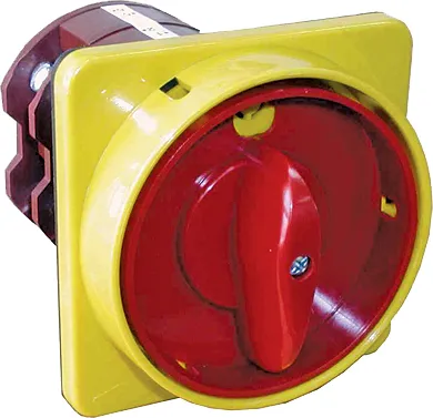 Cam switch CS 25 92 U LK 004773074