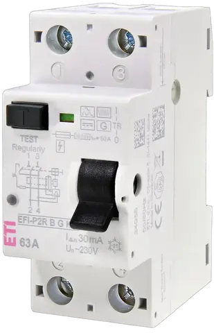 Image of EFI-P2R B G/KV 63/0.03