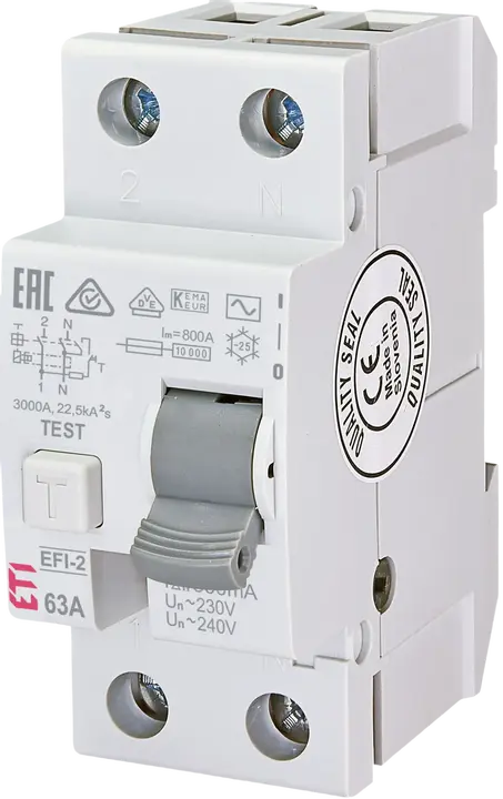 Image of *EFI-2 AC 63/0.3