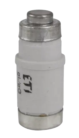 Image of D02 gG 63A/400V