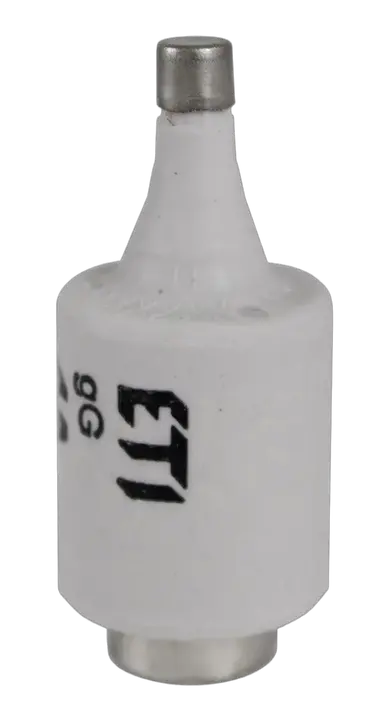 Image of DII DZ/gF 2A/500V