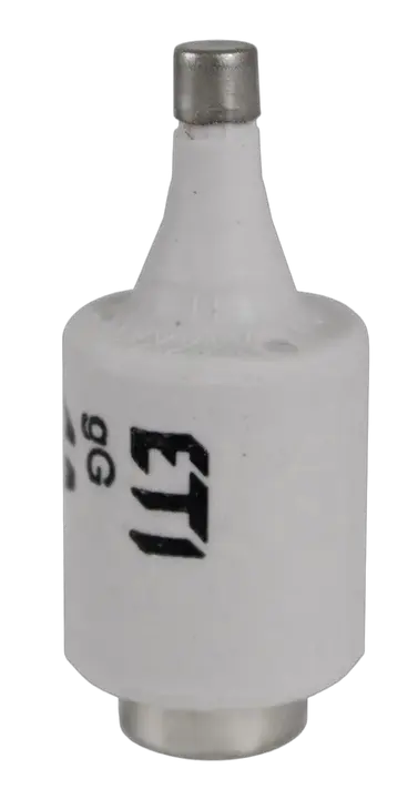Image of DII gG 2A/500V