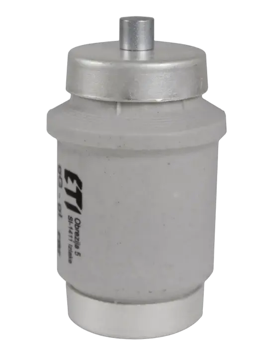 Image of DIV gG 80A/500V
