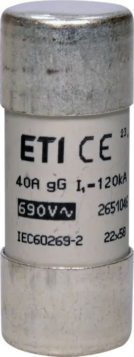 Image of CH22x58 gG 40A/690V
