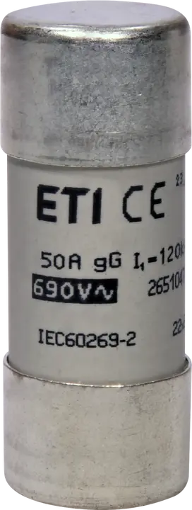 Image of CH22x58 gG 50A/690V