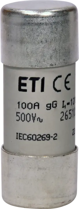 Image of CH22x58 gG 100A/500V