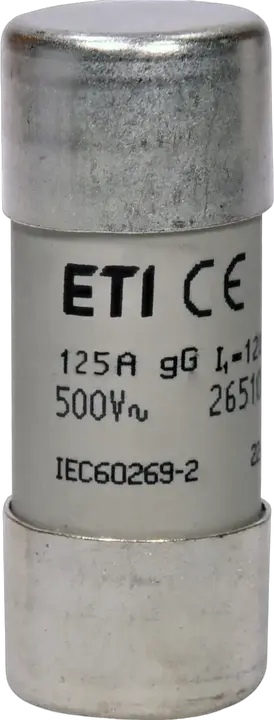 Image of CH22x58 gG 125A/500V