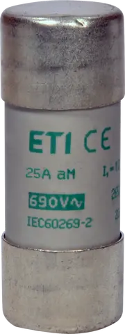 CH22x58 aM 25A/690V