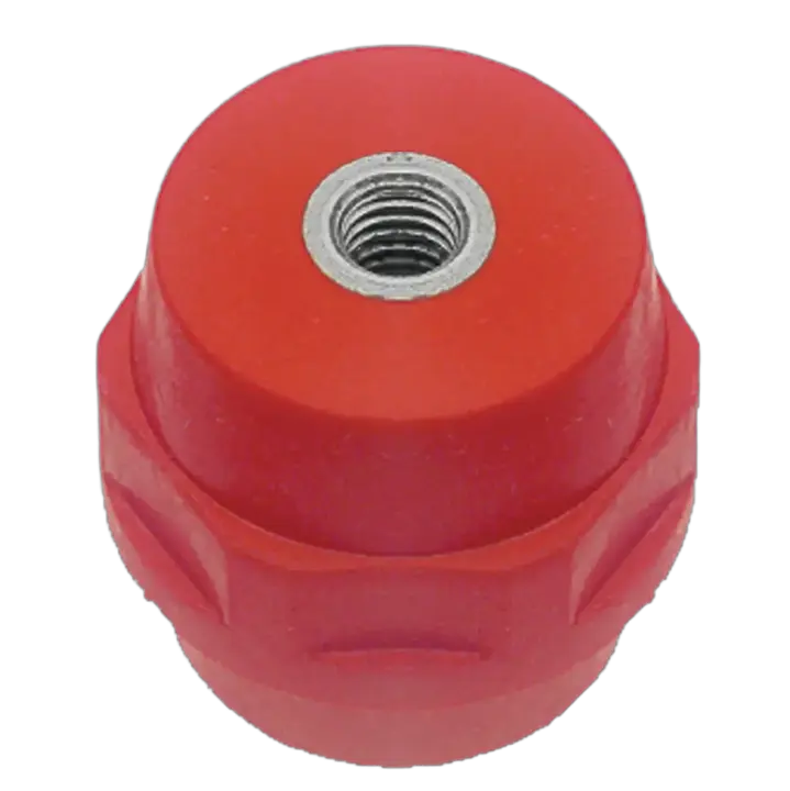 Image of INS 601255