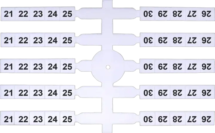 Image of EO3 21-30 (x200)