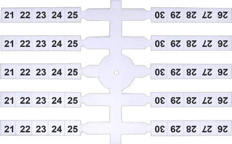 Image of EO3 21-30 (x200)