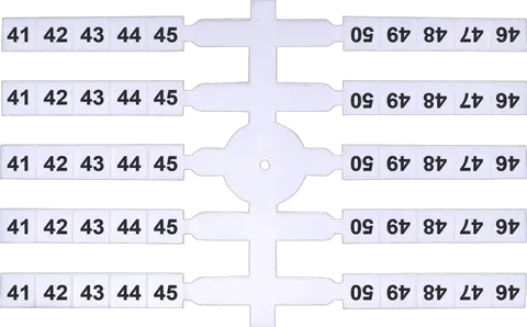 Image of EO3 41-50 (x200)