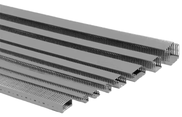 Image of *IKP S 2580