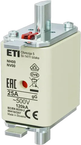 NH00 gG 25A/500V