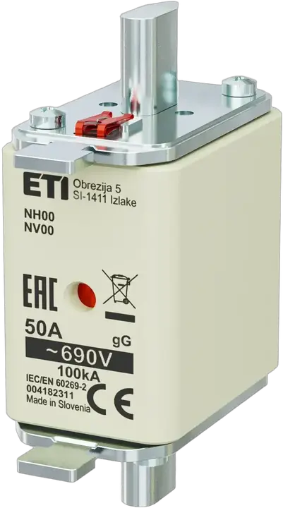 Image of NH00 gG 50A/690V