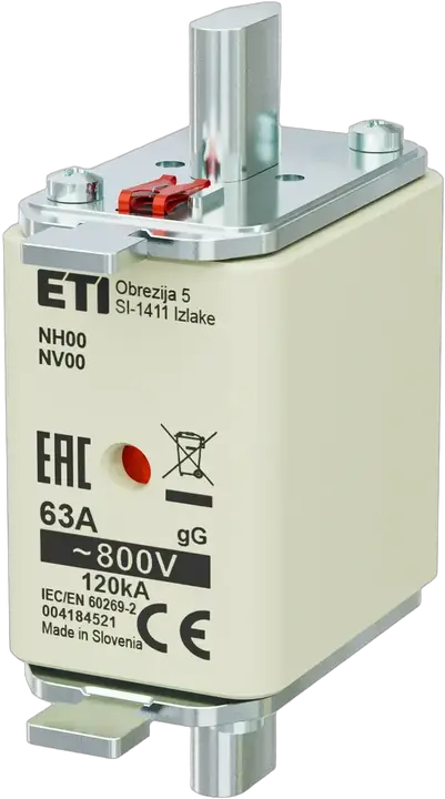 Image of NH00 gG 63A/800V