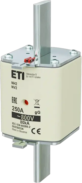 Image of NH2 gG 250A/800V
