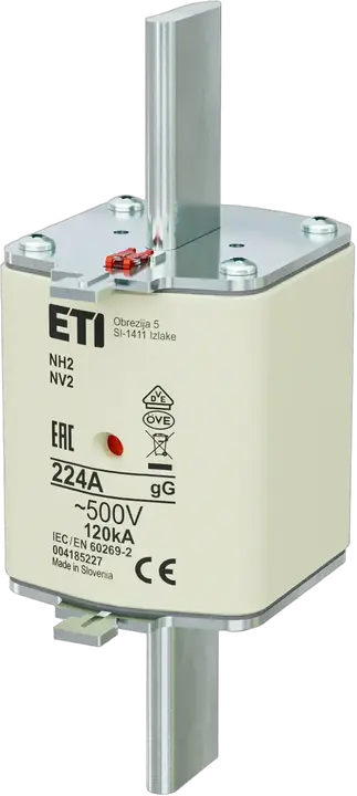 Image of NH2 gG 224A/500V