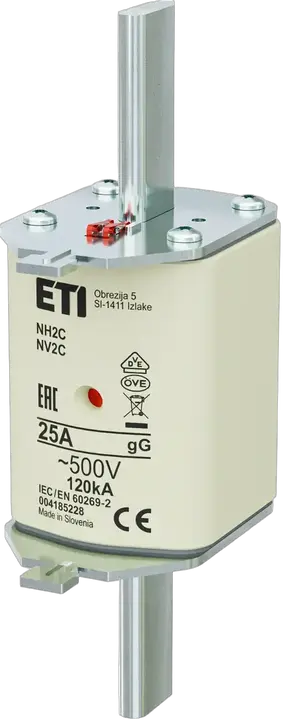 Image of NH2C gG 25A/500V