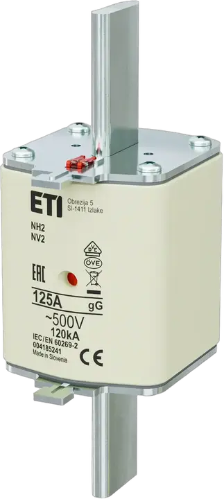 Image of NH2 gG 125A/500V