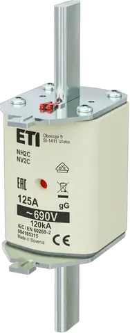 NH2C gG 125A/690V