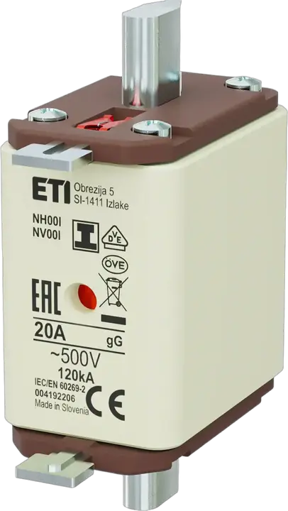 Image of NH00/I gG 20A/500V