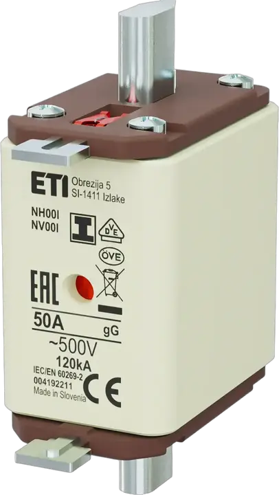 Image of NH00/I gG 50A/500V