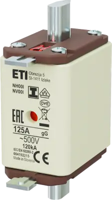 Image of NH00/I gG 125A/500V