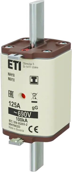 Image of NH1/I gG 125A/690V