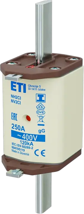 Image of NH2C/I gG 250A/400V