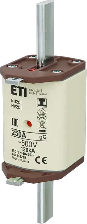 Image of NH2C/I gG 250A/500V