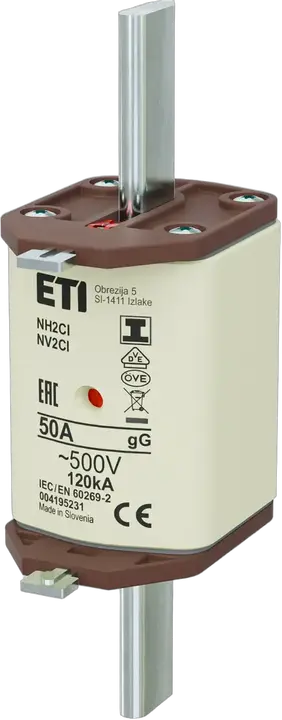 Image of NH2C/I gG 50A/500V