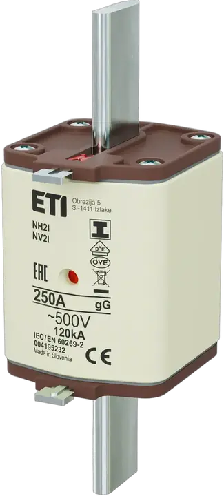 Image of NH2/I gG 250A/500V