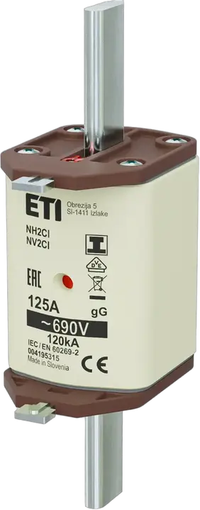 Image of NH2C/I gG 125A/690V
