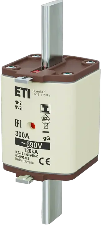 Image of NH2/I gG 300A/690V