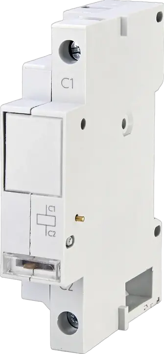 Image of *MSP-A 24