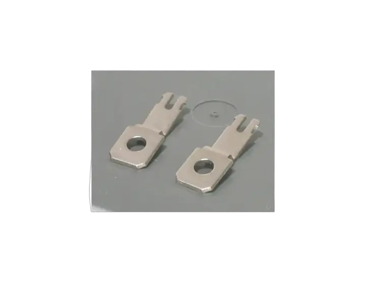 Image of PLMPE
