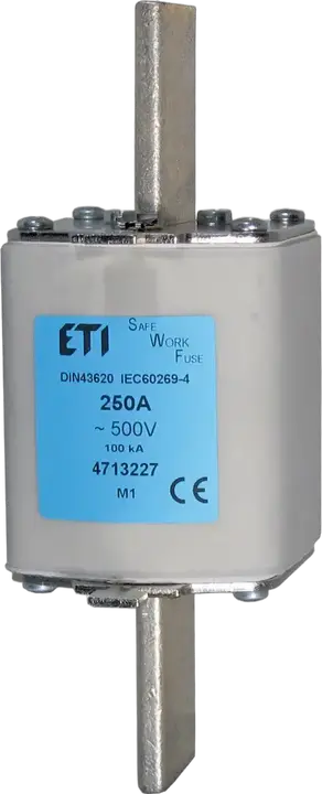 Image of NH1 SWF 160A/500V