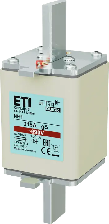 Image of *NH1 gS 250A/690V