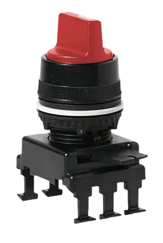 Image of *HK65C1