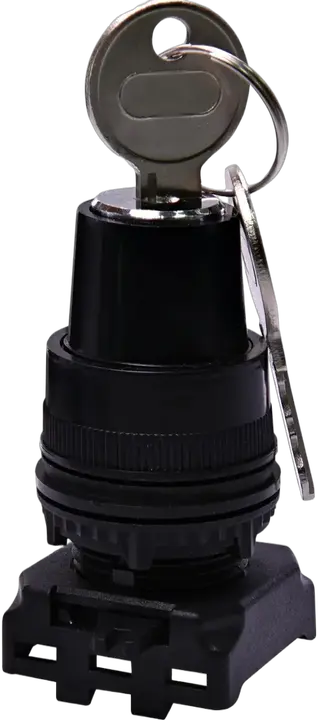 Image of * EGK2-XY45-C