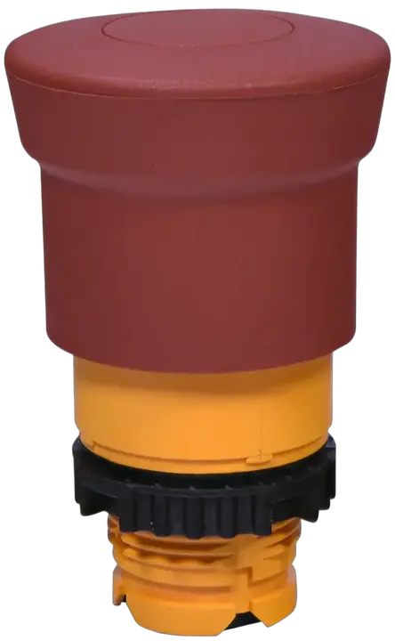 Image of NSE-PBM-P-R