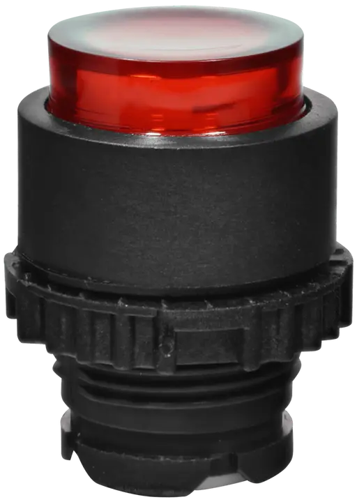 Image of NSE-PBPI-R