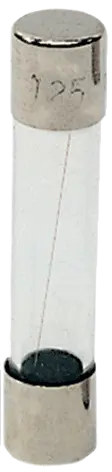 Image of *Mini fuse 6,3x32 T 160mA/250V