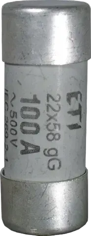 Image of CH22x58/P gG 25A/690V