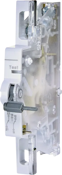 Image of *PS/SS EFI-R / KZS-R
